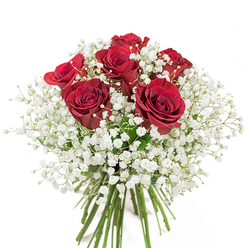 A scene of romantic elegance unfolds with this expertly arranged bouquet, delicately composed by the hands of a skilled Richmond upon Thames florist. Six sumptuous crimson roses, each one at the peak of bloom, emerge from a generous sea of soft white gypsophila. The roses' petals, velvety and rich, spiral tightly at the centre before gradually unfurling-suggesting stories of affection found along Richmond Green or under the gentle canopy of the Terrace Gardens. Around them, the baby's breath forms a silvery cloud, hundreds of tiny star-like blossoms casting a diffused lightness, elevating the intensity of the red roses and lending the whole piece a feeling of quiet celebration. The fresh green stems below, carefully aligned and securely bound, reinforce the sense of recently gathered perfection-possibly from a morning browse at Richmond's Saturday market. Against the crisp white backdrop, every nuance of colour and shape is amplified, allowing the arrangement's natural beauty to resonate. This bouquet, ideal for expressing deep love or celebrating unforgettable moments, carries the refined spirit of Richmond's historic charm and natural beauty. Imagined as a centrepiece in a riverside Georgian home or presented as a tender anniversary gift, its visual music-the interplay of boldness and grace-offers a timeless tribute to sincere emotion.